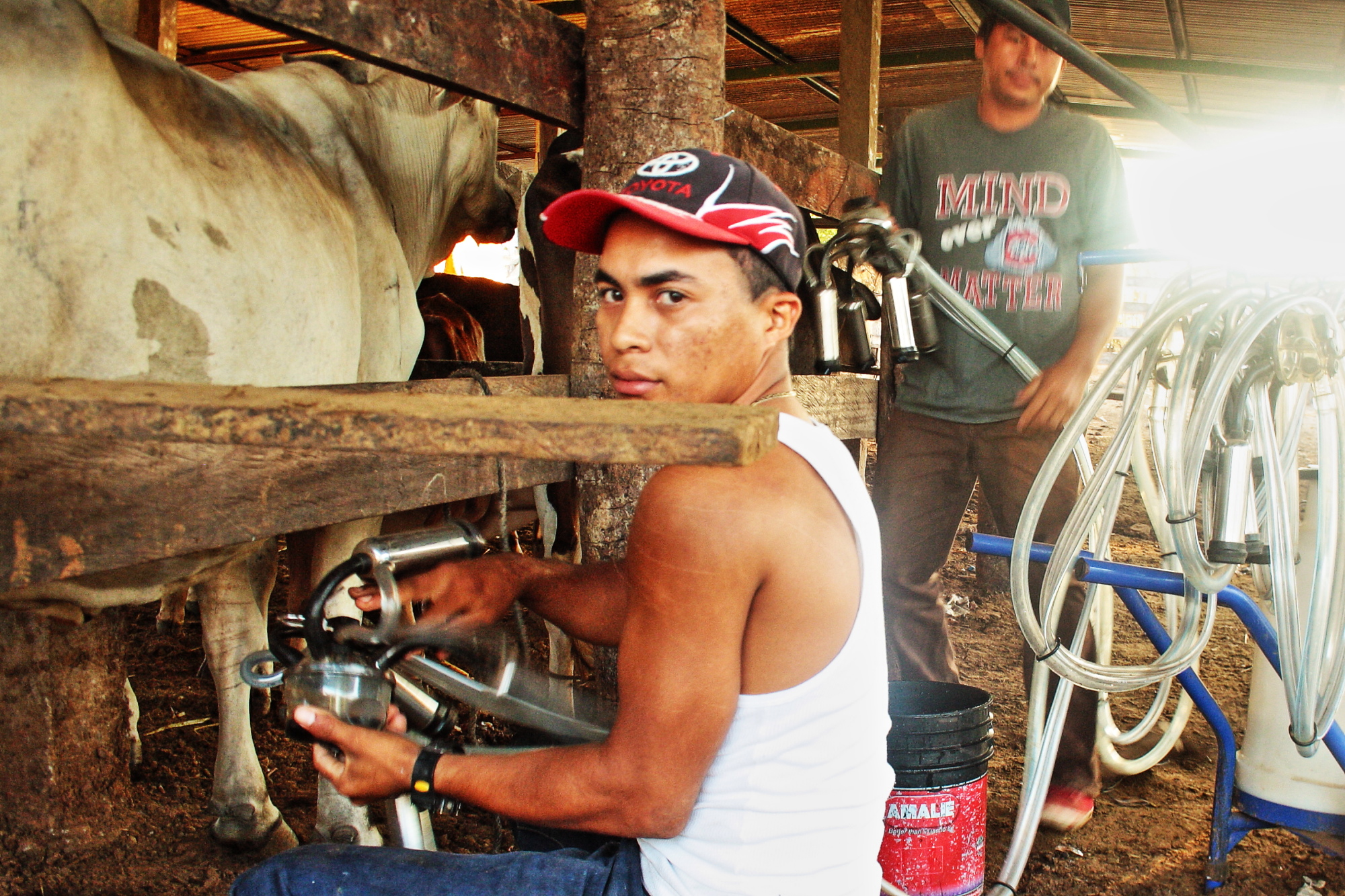 Permalink auf:Biogas Nicaragua